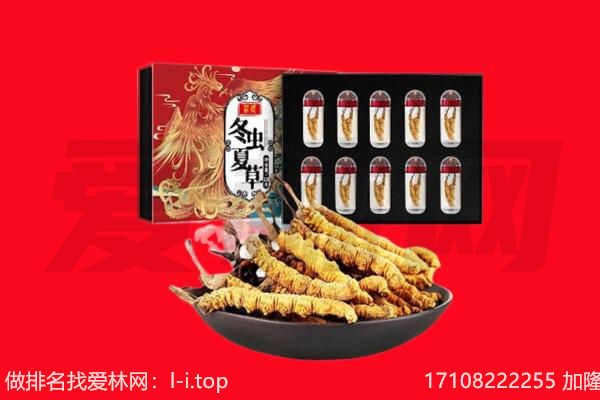 南川冬虫夏草回收